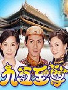 九五至尊海报